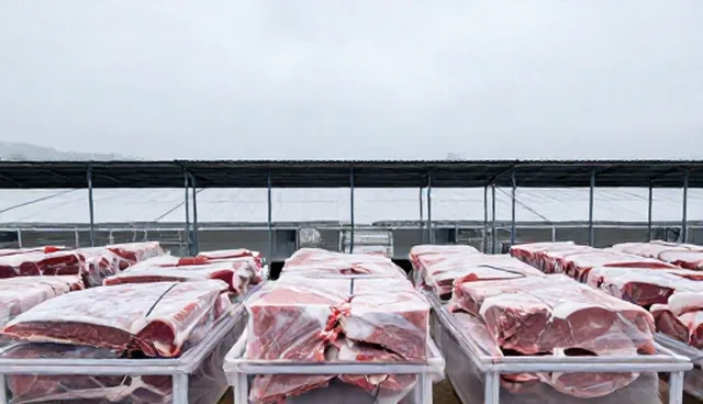 食品加工中需求反馈如何提升生产效率